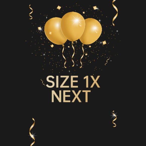 Size 1X Woman's Section - Picture 1 of 1